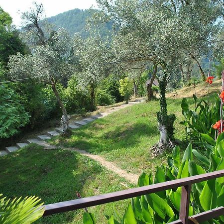 Villa Oliva New Athos Zewnętrze zdjęcie