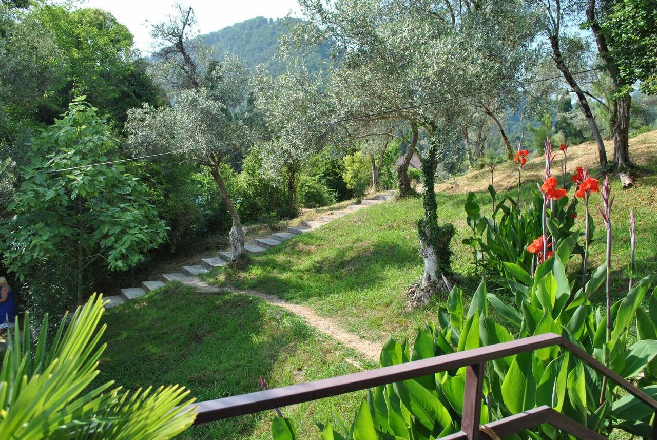 Villa Oliva New Athos Zewnętrze zdjęcie